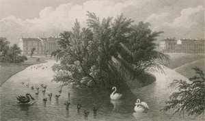Uma ilha no lago e parte da Cornualha e Clarence Terrace, Regent&39;s Park de Thomas Hosmer Shepherd