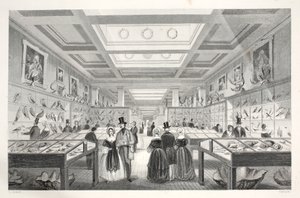 Museu Britânico, Galeria Zoológica, do pub &39;London Interiors with their Costumes and Ceremonies&39;. Joseph Mead, Londres, c.1843 (gravura em aço) de Thomas Hosmer Shepherd