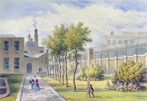 Jardim do Hospital St. Thomas, Southwark, Londres de Thomas Hosmer Shepherd