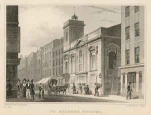 Aves Domésticas de St Mildred de Thomas Hosmer Shepherd