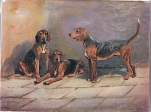 Cães, ilustração de &39;Hounds&39;