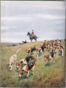 Foxhunting, illustation de &39;Hounds&39;