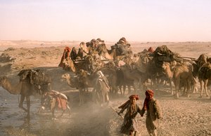 Crianças tribais com caravana de camelos, caravaneiros kuchi, parados na vala de irrigação em...
