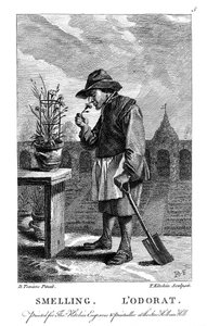 Jardineiro cheirando um cravo ou Dianthus rosa, c1750