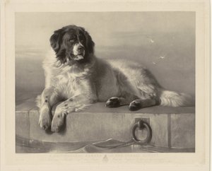 Retrato do cão de resgate Bob, deitado em um cais Um Distinto Membro da Humane Society (título no objeto) de Thomas Landseer
