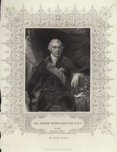 Sir Joseph Banks de Thomas Lawrence