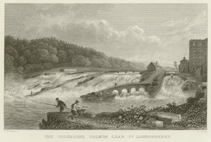 O salto de salmão de Coleraine