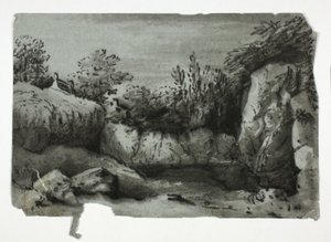Piscina rochosa