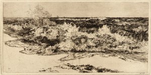 O mar sonoro de Thomas Moran