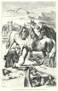 Ilustração para Gullivers Travels de Jonathan Swift (gravura) de Thomas Morten