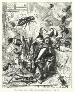 Ilustração para Gullivers Travels de Jonathan Swift (gravura) de Thomas Morten