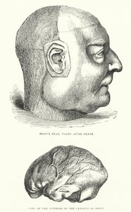 Ilustração para a vida de Jonathan Swift (gravura) de Thomas Morten