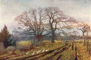 Início da primavera, perto de Victoria, Colúmbia Britânica (litografia a cores)