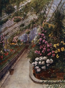Kew Gardens: A Casa Verde (cor litho)