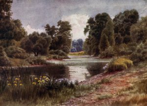 Kew Gardens: The Lake, Looking South (cor litho)