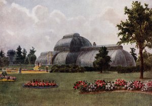 Kew Gardens: The Palm House (cor litho) de Thomas Mower Martin