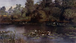 Kew Gardens: O Lírio de Água (cor litho) de Thomas Mower Martin