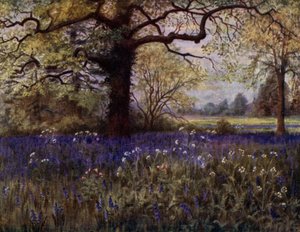 Kew Gardens: Jacintos selvagens (cor litho)