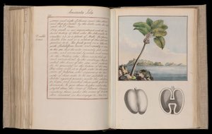 África etíope. "Outlines of the Globe" ou "Imaginary World Tour" em vinte e três volumes - narrativas, história natural e esboços de Thomas Pennant (1726-1798), naturalista, viajante e escritor de Thomas Pennant