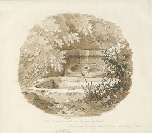 Biddulph - Antigo Poço em Knypersley Woods: desenho em sépia