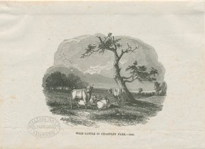 Chartley Hall - Park: gravura em xilogravura