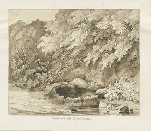 Codsall Wood - Brimstone Well: desenho sépia de Thomas Peploe Wood