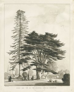 Reitoria Haughton: desenho em sépia de Thomas Peploe Wood