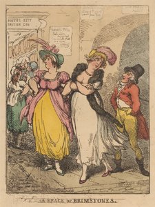 Um par de borboletas-de-azufre de Thomas Rowlandson