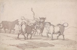 Um grupo de cinco touros prestes a lutar de Thomas Rowlandson