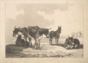 Um grupo de cinco burros, três em pé, dois deitados, 1783-87. de Thomas Rowlandson