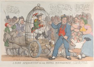 Uma rara aquisição ao Royal Menagerie, 28 de julho de 1815., 28 de julho de 1815. de Thomas Rowlandson