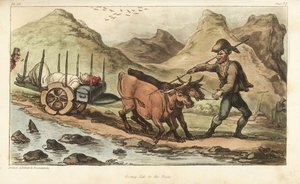 Alferes Johnny Newcome, doente com disenteria, levado por carro de boi para Salamanca, Espanha. Gravura em chapa de cobre colorida à mão, desenhada e gravada por Thomas Rowlandson do Coronel David Roberts