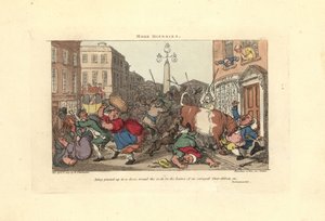 Homem preso a uma porta pelos chifres de um boi enfurecido. de Thomas Rowlandson