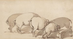 Porcos num comedouro de Thomas Rowlandson