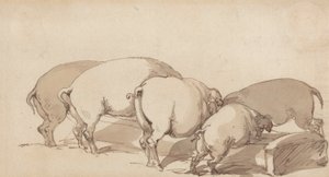 Pigs at a Trough, c.1790 (grafite com caneta e tinta e tinta marrom no papel) de Thomas Rowlandson