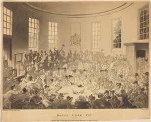 Arena real de lutas de galos de Thomas Rowlandson