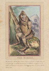 Conjunto de oito, com página de rosto. «Animais Estrangeiros e Nacionais». 2. O Leão de Thomas Rowlandson