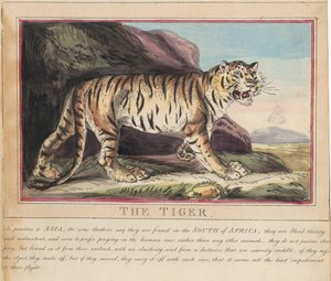 Conjunto de oito, com página de rosto. «Animais Estrangeiros e Nacionais». 5. O Lobo de Thomas Rowlandson