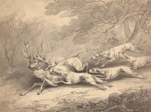 Veado abatido por uma matilha de cães de Thomas Rowlandson