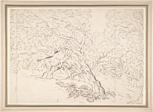 Estudo das árvores de Thomas Rowlandson
