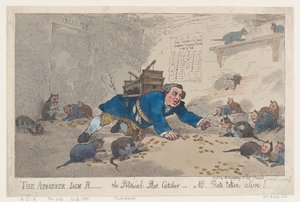 O apóstata Jack Robinson, o político Rat Catcher-N.B. Ratos capturados vivos!, março..., 1º de março de 1784. de Thomas Rowlandson