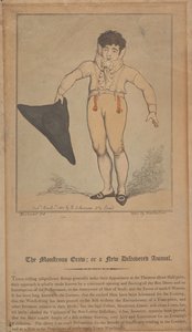 O Monstro Rastejante; ou Um Animal Recém-Descoberto de Thomas Rowlandson