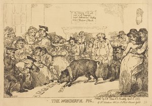 O Porco Maravilhoso de Thomas Rowlandson