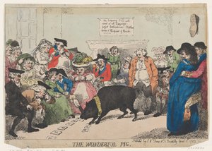 O Porco Maravilhoso, 12 de abril de 1785., 12 de abril de 1785.