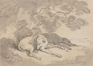 Dois galgos deitados debaixo de uma árvore de Thomas Rowlandson