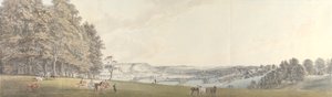 Uma Vista de Boxhill de Norbury Park, Surrey de Thomas Sandby