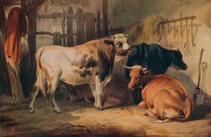 Um touro e três vacas em um estábulo, c1856