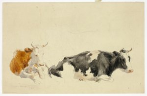 Duas vacas reclinadas (frente); esboço de uma vaca de pé (verso) de Thomas Sidney Cooper