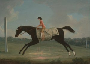 Borlase Cokayne como Boy riding Sultana