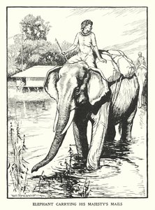 Elefante transportando a correspondência de Sua Majestade (litografia) de Thomas Somerfield